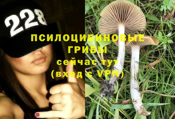 а пвп мука Алексин