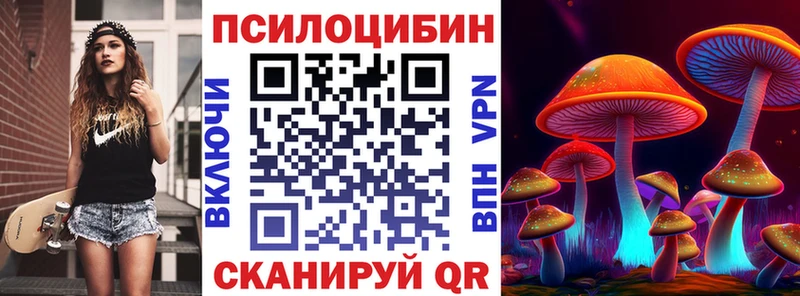 MEGA ССЫЛКА  Котельнич  Псилоцибиновые грибы Psilocybe 